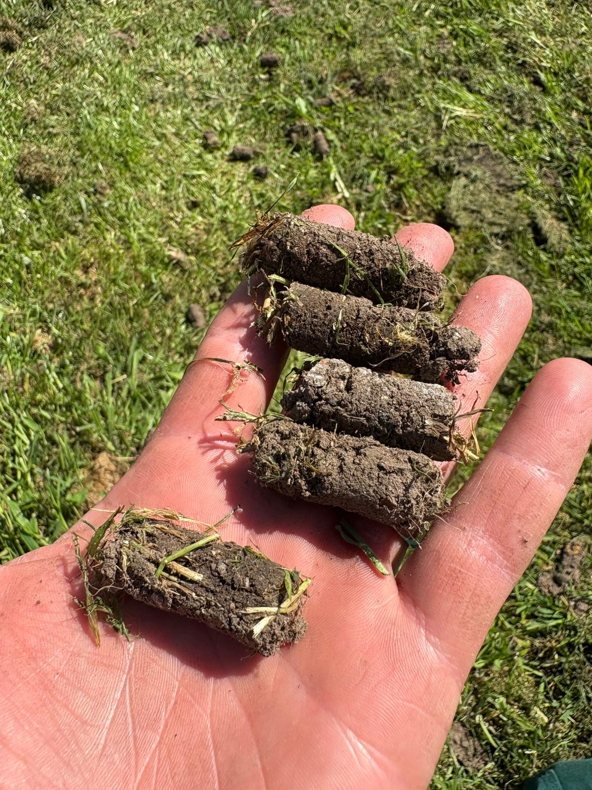 Aeration - Let It Breathe thumbnail