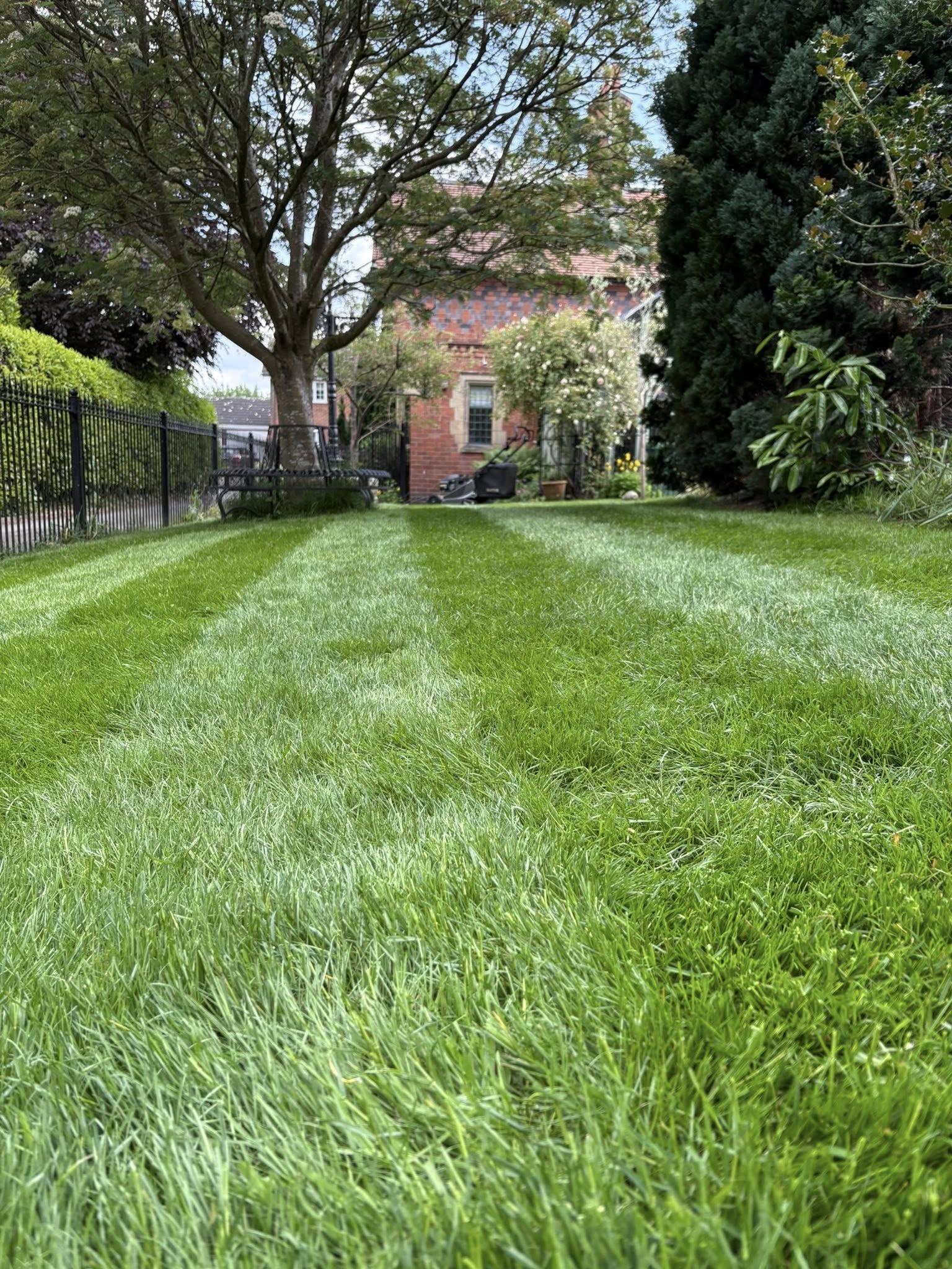 Garden Bed Maintenance & Pruning